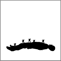 Knowledge and data extraction